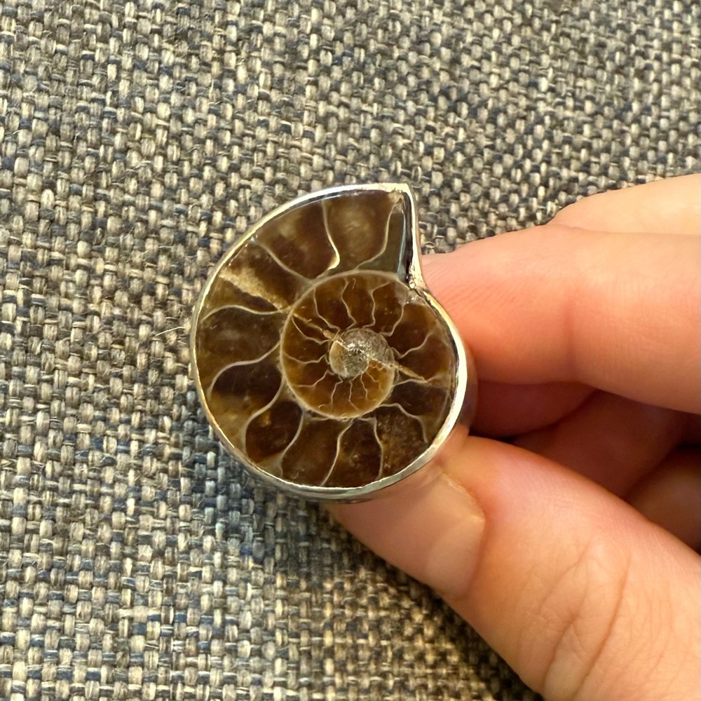 Arya Ammonite Sterling Silver 925 Fossil Thick Statement Vintage Sz 7 Ring